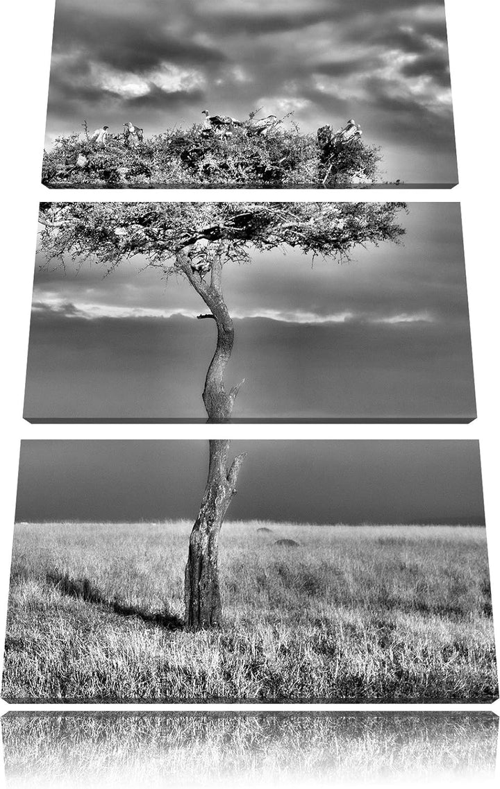Pixxprint Geierschwarm in der Savanne als Leinwandbild/Grösse: 3 Teilig (120x80) cm/Wandbild/Kunstdr