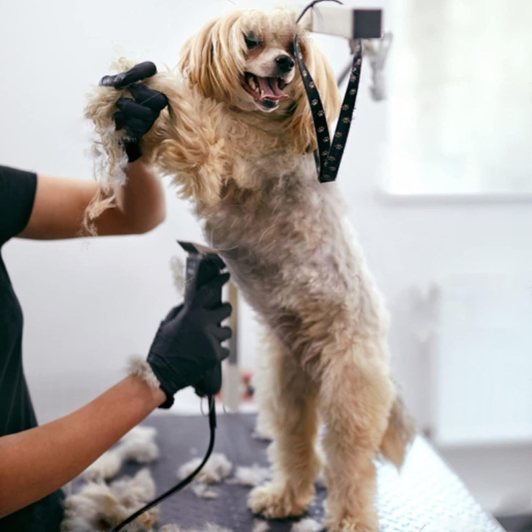 Ersatzklingen für Hundepflege, kompatibel mit Andis-, Oster- und Wahl-Schermaschinen (4FC), 4FC