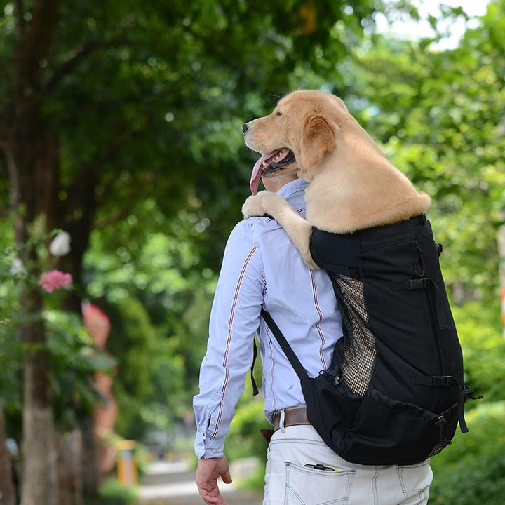1–25 kg Hunde-Tragetasche mit Kordelzug, belüftet, für kleine und mittelgrosse Hunde, tägliche Welpe
