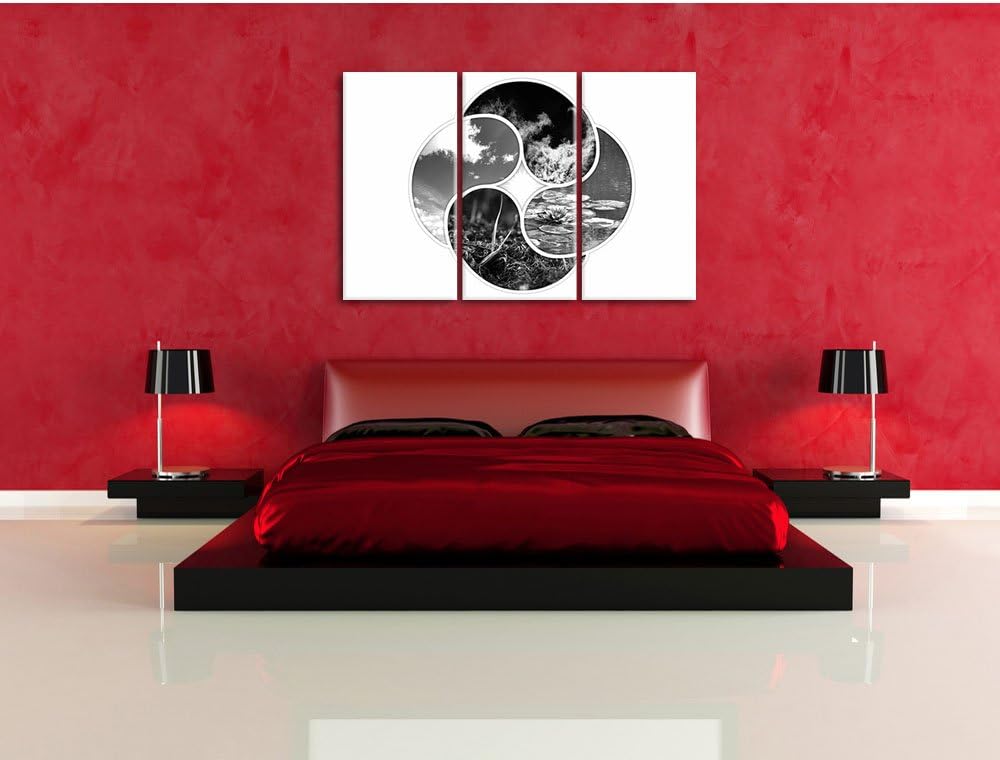 Pixxprint Die Vier Elemente Kunst B&W / 3-Teilig/Gesamtmass 120cm Leinwandbild bespannt auf Holzrahm