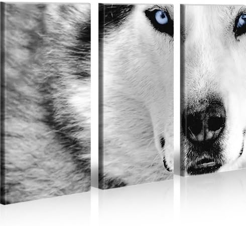 islandburner Bild Bilder auf Leinwand Wolf Husky Hunde XXL Poster Leinwandbild Wandbild Dekoartikel