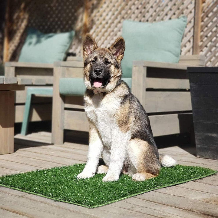 Hompet Hundetoilette Welpentoilette Trainingsunterlage, Indoor Hundetöpfchen, Hunde Training 71cm x
