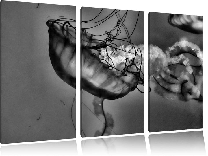 Pixxprint anmutige Qualle im Wasser als Leinwandbild/Grösse: 3 Teilig (120x80) cm/Wandbild/Kunstdruc