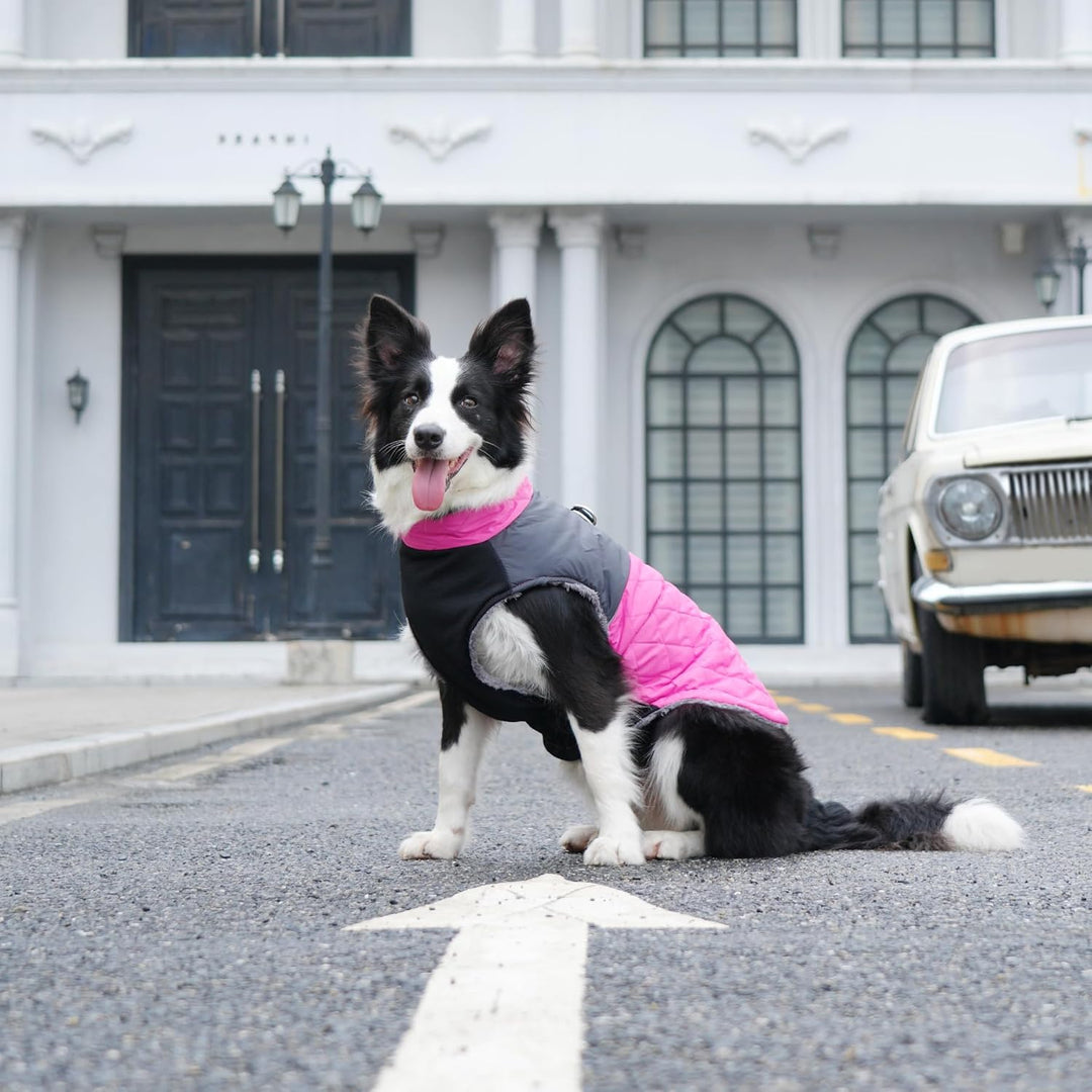 JoyDaog Warme Fleece Hundemäntel für grosse Hunde, D-Ringe wasserdichte Hundejacke für kalten Winter