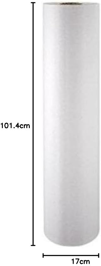 Clairefontaine 595701C Rolle Kraftpapier (ideal für Trockentechnicken, 50 x 1 m, 60 g) weiss 50x1m,