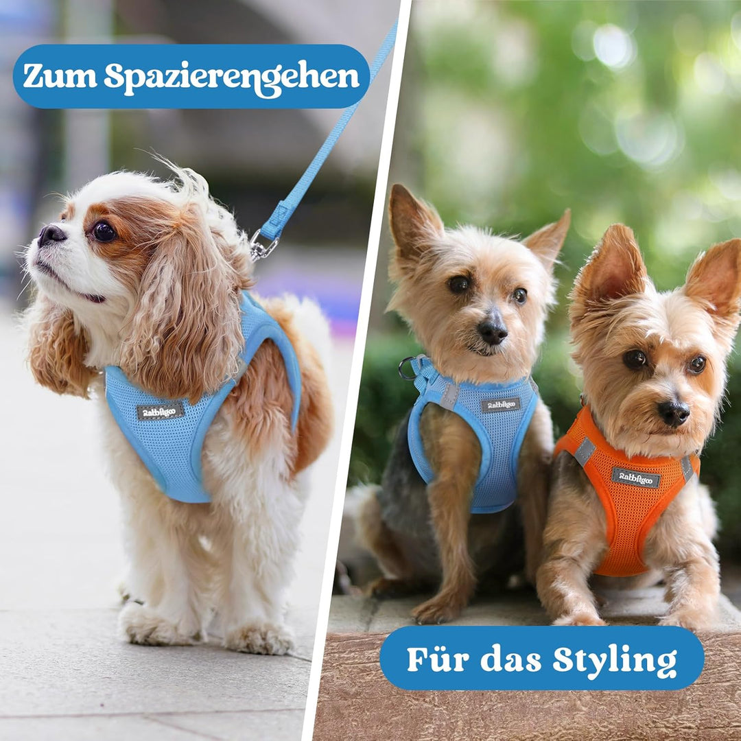 rabbitgoo Hundegeschirr Kleine Hunde, Step-in Welpengeschirr Weich Mesh für Spaziergänge, Atmungsakt