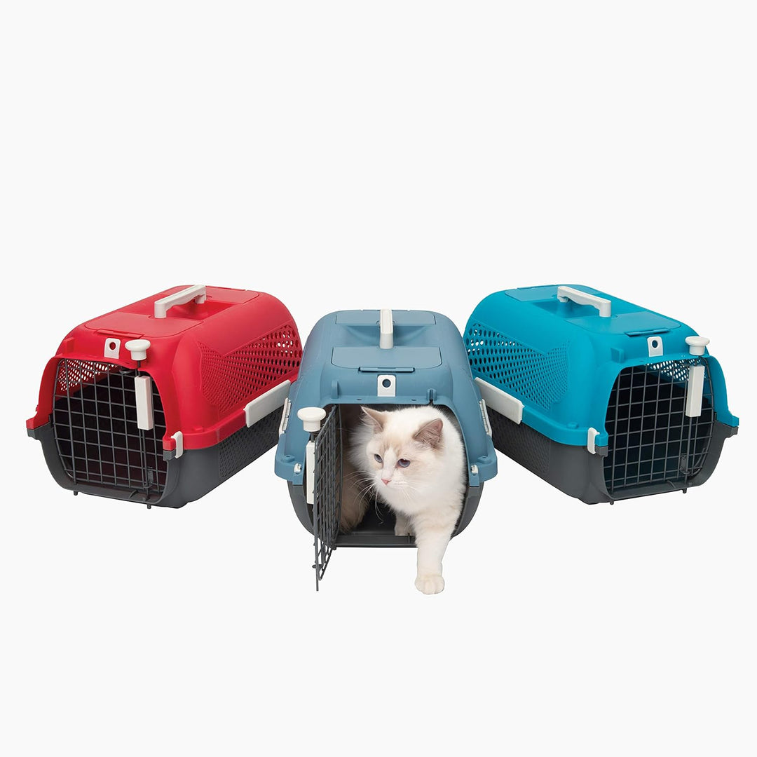 Transportbox für Katzen, Klein, Blaugrau Blaugrau Small, Blaugrau Small