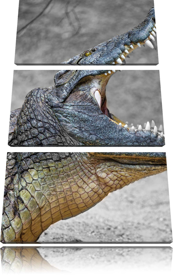 Pixxprint Krokodil mit aufgerissenen Maul als Leinwandbild/Grösse: 3 Teilig (120x80) cm/Wandbild/Kun