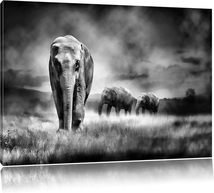 Pixxprint Monocrome, Prächtiger Elefanten in Steppe, Format: 100x70 auf Leinwand, 100x70