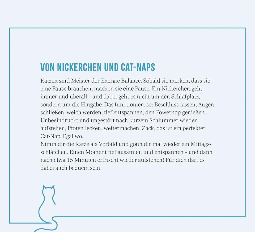 Wochenkalender 2025: Kluge Katzen: Katzenkalender zum Aufstellen mit Wochenkalendarium, Tischkalende
