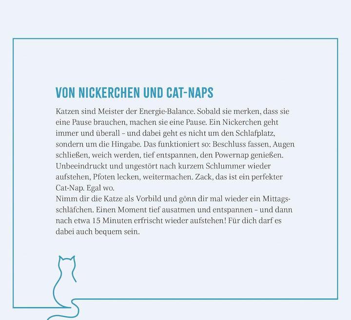 Wochenkalender 2025: Kluge Katzen: Katzenkalender zum Aufstellen mit Wochenkalendarium, Tischkalende