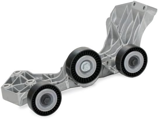 SKF VKMA 38061 Spannrollensatz für Nebentrieb