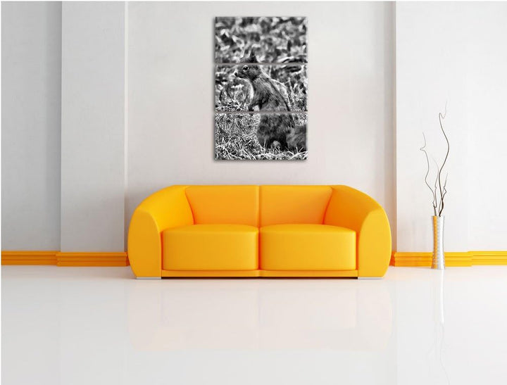 Pixxprint Monocrome, kleines Eichhörnchen auf Waldboden 3-Teiler Leinwandbild 120x80 Bild auf Leinwa