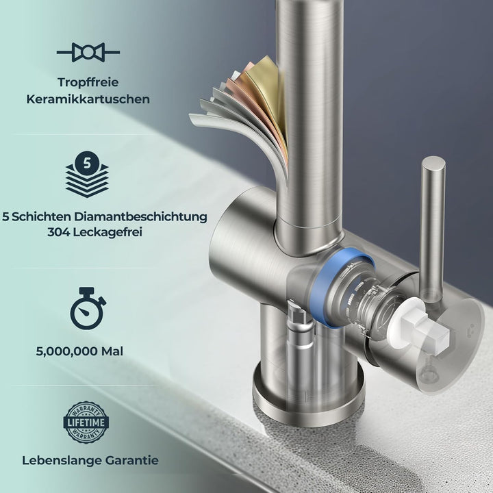 FORIOUS Küchenarmatur, Wasserhahn Armatur Küche Ausziehbar Brause Edelstahl, Einhebel Mischbatterie
