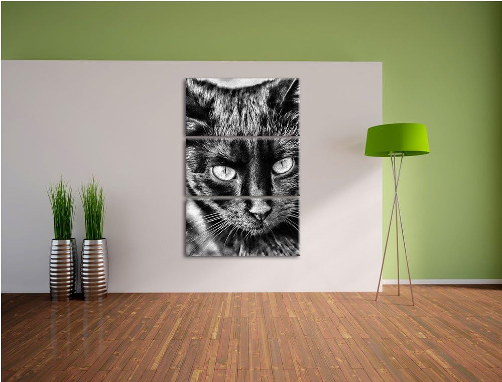 Pixxprint Schwarze Katze als Leinwandbild/Grösse: 3 Teilig (120x80) / Wandbild/Kunstdruck/fertig bes
