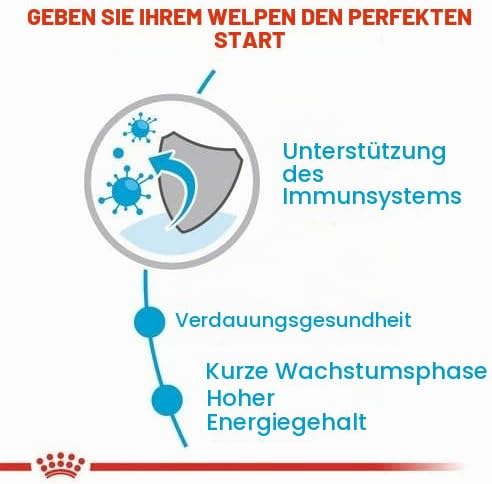 Royal Canin Medium Puppy | Doppelpack | 2 x 10 x 140 g | Nasses Welpenfutter für mittelgrosse Hunde