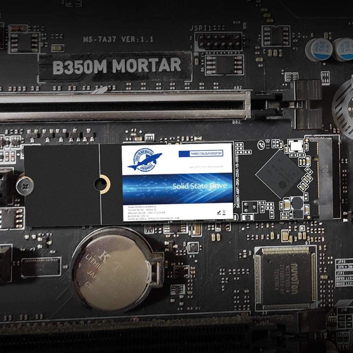Dogfish SSD M.2 2280 500 GB Ngff Internes Solid State Drive Hochleistungsfestplatte für Desktop-Lapt