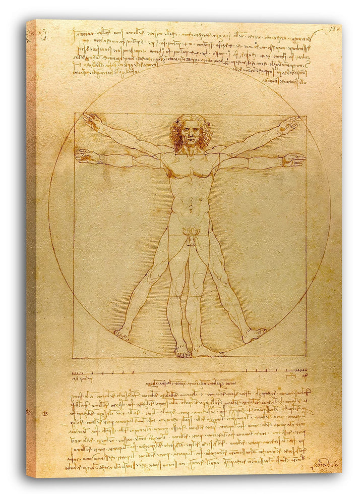 Printed Paintings Leinwand (40x60cm): Leonardo da Vinci - Vitruvianischer Mensch 40x60 cm, 40x60 cm
