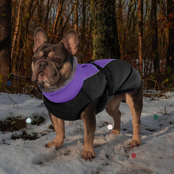 IECOii Hundemantel Winter,Warme Fleece Rollkragen Hundejacke,Wasserdicht Winterjacken Wintermäntel f