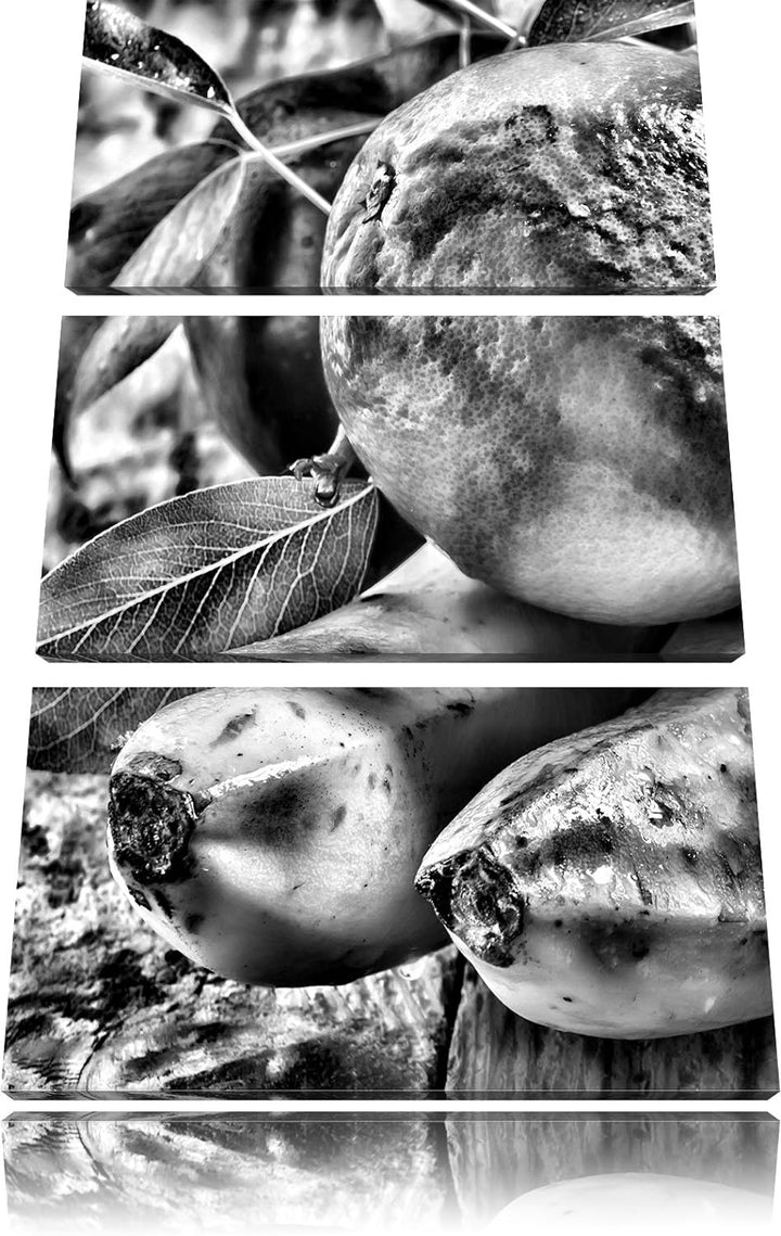 Pixxprint Monocrome, Leckeres Obst 3-Teiler Leinwandbild 120x80 Bild auf Leinwand