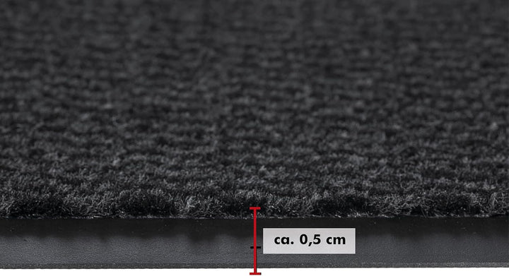 andiamo Fussmatte Easy - Schmutzfangmatte für den Hauseingang - flexibel einsetzbar als Türmatte inn