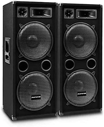 auna Pro PW - Passive PA-Lautsprecher PA-Boxen, 2er-Set: 2 x PA-Box, 2 x 38 cm (15") Subwoofer, Bela