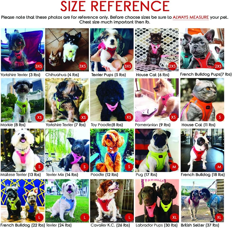 Air-Mesh Brustgeschirr für kleine und mittelgrosse Katzen und Hunde – Weich, Atmungsaktiv, Strapazie