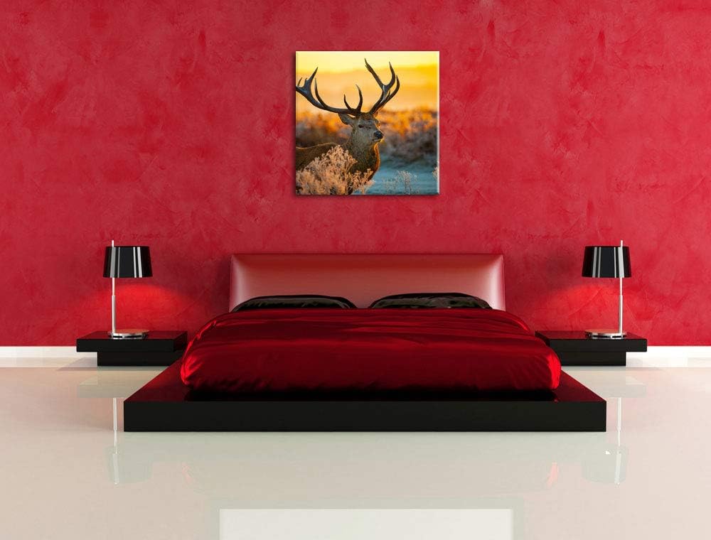 Stolzer Hirsch auf Wiese, Format: 70x70 auf Leinwand, XXL riesige Bilder fertig gerahmt mit Keilrahm