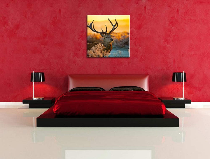 Stolzer Hirsch auf Wiese, Format: 70x70 auf Leinwand, XXL riesige Bilder fertig gerahmt mit Keilrahm