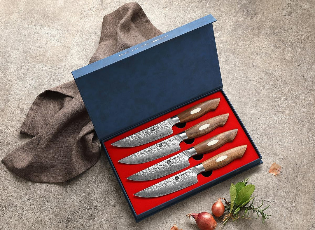 XINZUO 4-Teilig Steakmesser Set, 67 Schichten Damaststahl cm Besteckmesser, Japanischer AUS-10 Stahl