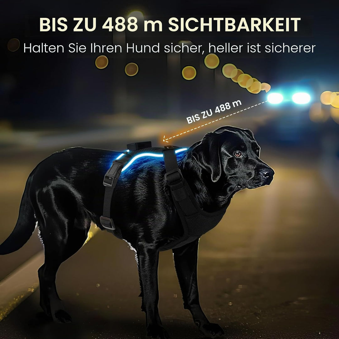 MASBRILL Hundegeschirr Leuchtend, LED Hundegeschirr Aufladbar &amp; Einstellbar für Welpen Kleiner Mittl