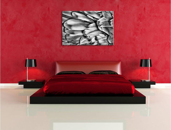 Pixxprint Monocrome, Bunte Papageienfedern, Format: 100x70 auf Leinwand, riesige Bilder fertig gerah