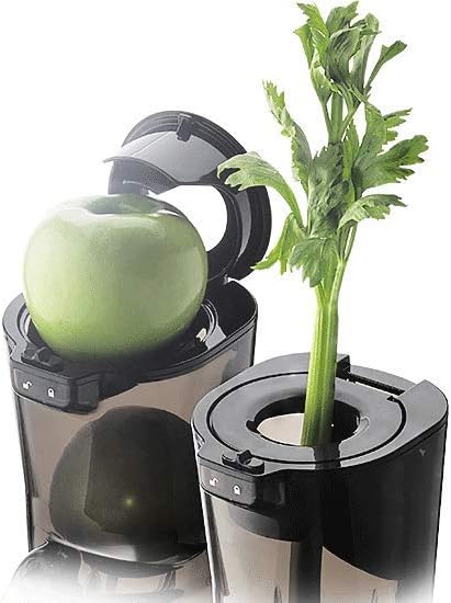 Kuvings | Entsafter | EVO820 | Whole Slow Juicer | Kaltpresser | Saftpresse | Langsamentsafter | Gem