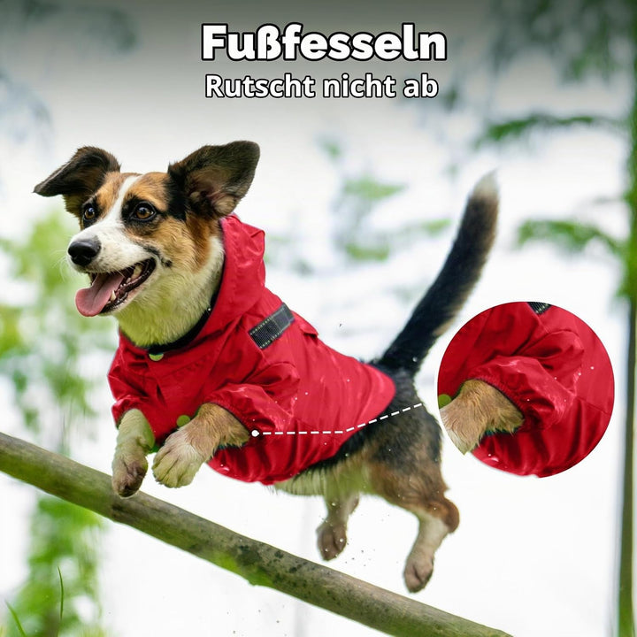 JoyDaog Regenmantel für extra kleine Hunde mit Kapuze, wasserdichte Outdoor-Regenjacke für Hunde, We