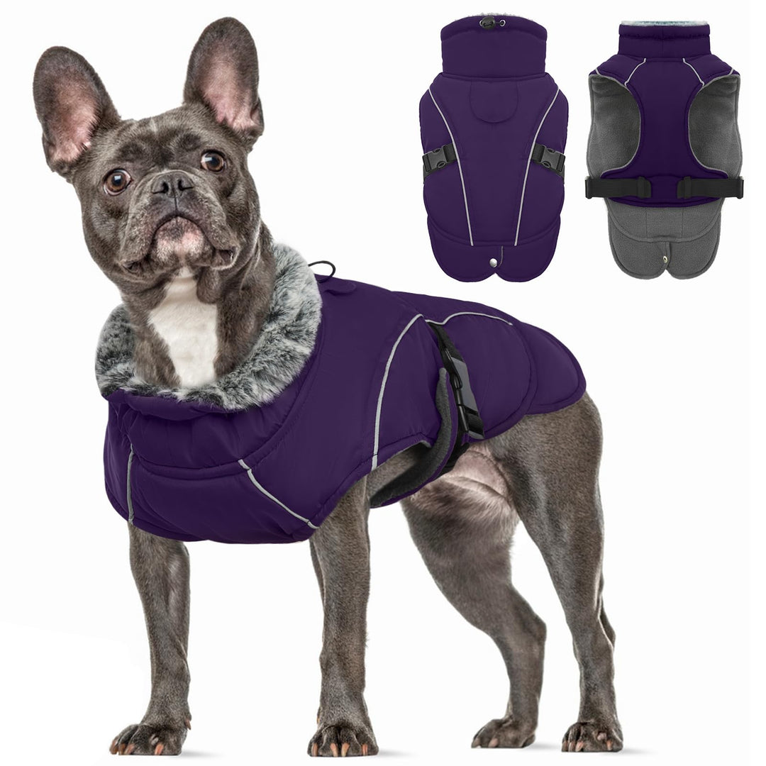 Jacke für Kleine Hunde, Winterjacke Gefütterte mit Leine Loch Kleidung Winter für Kleine Hunde Windd