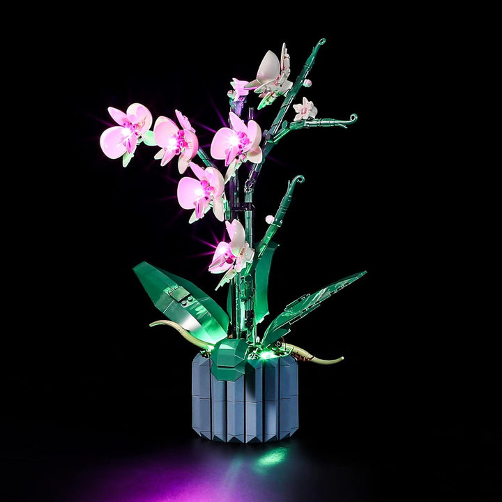 LIGHTAILING Licht-Set Für Lego-10311 Orchidee - Led-Beleuchtungsset Kompatibel Mit Lego Bausteinen M