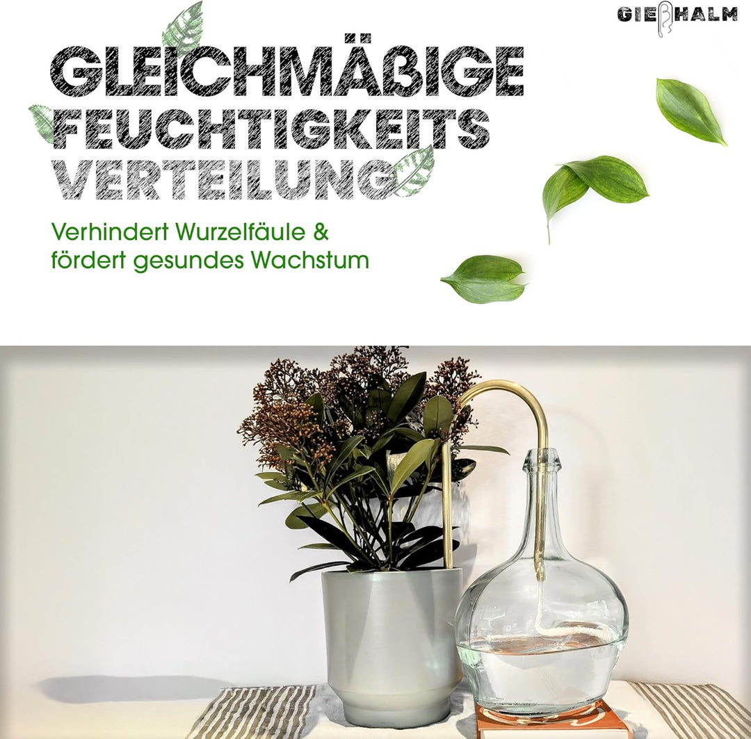 zuverlässige Bewässerung von Zimmerpflanzen, elegantes Design, gleichmässige Wasserzufuhr (Mint, Gro