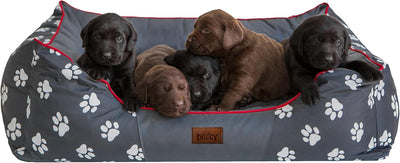 Hobbydog PRELSZ2 Hundebett Hundesofa Hundekorb Tierbett Prestige mit Pfoten, Grösse XL, 85 x 65 cm,