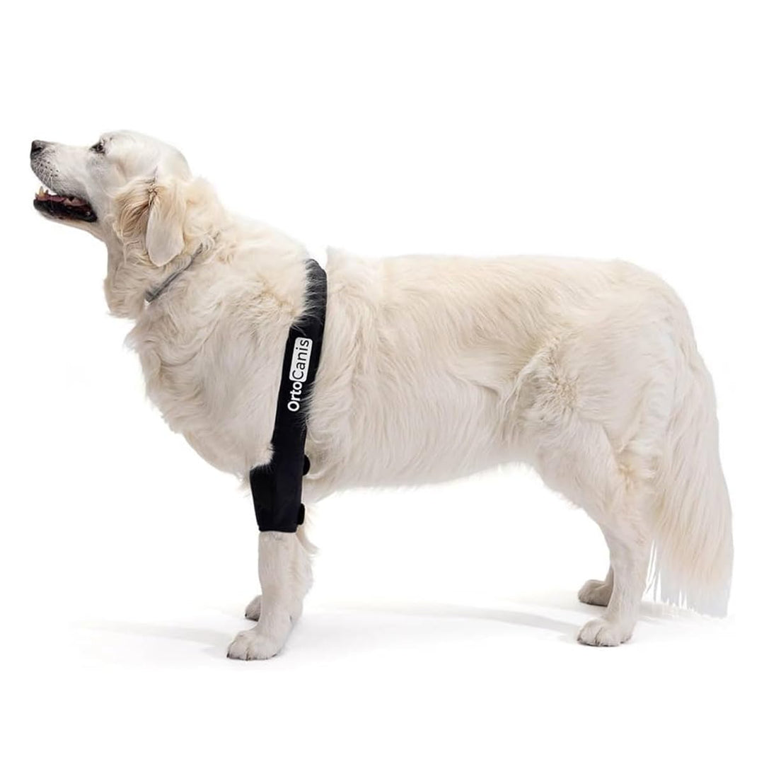 Ortocanis - Ellbogenbandage für Hunde mit Arthrose, Verletzungen, Hygromen oder Bursitis, Grösse M,