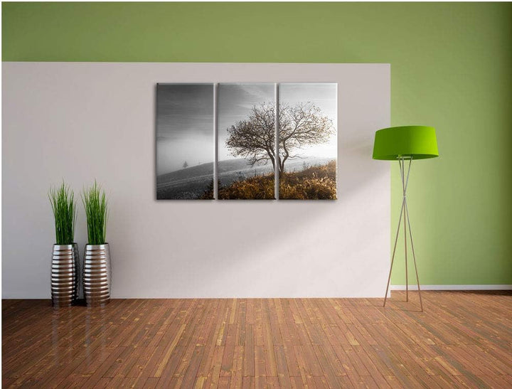 Einsamer Baum auf Berg schwarz/weiss 3-Teiler Leinwandbild 120x80 Bild auf Leinwand, XXL riesige Bil