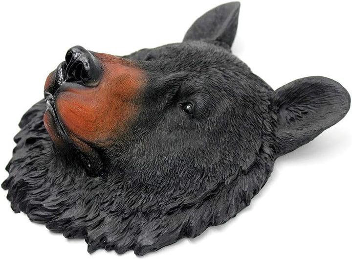 Tierkopf Wanddekoration,Dekorative Skulptur,Bär, Bär