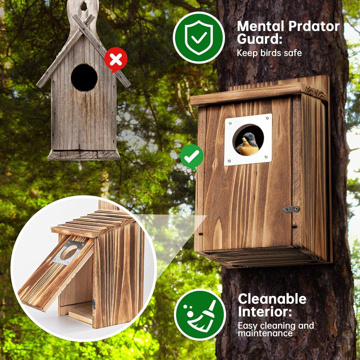 Vogelhaus für draussen, Holz-Blauvogelhaus, mit Raubtierschutz, Vogel-Nistkasten, Wildvögelbeobachtu
