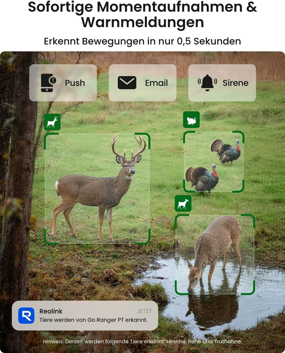 Reolink 4K 3G/4G LTE PTZ Überwachungskamera Aussen mit SIM-Karte, Wildkamera mit Bewegungsmelder Nac