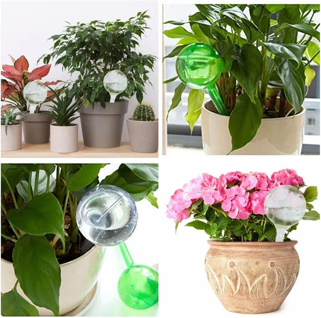 Alluring 6PCS Bewässerungskugeln für Pflanzen 13x5cm, Transparenter Automatischer Pflanzenbewässerer