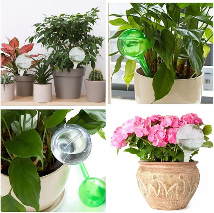 Alluring 6PCS Bewässerungskugeln für Pflanzen 13x5cm, Transparenter Automatischer Pflanzenbewässerer