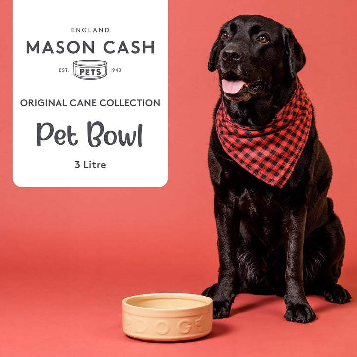 Mason Cash Original Cane Hundenapf mit Aufschrift
