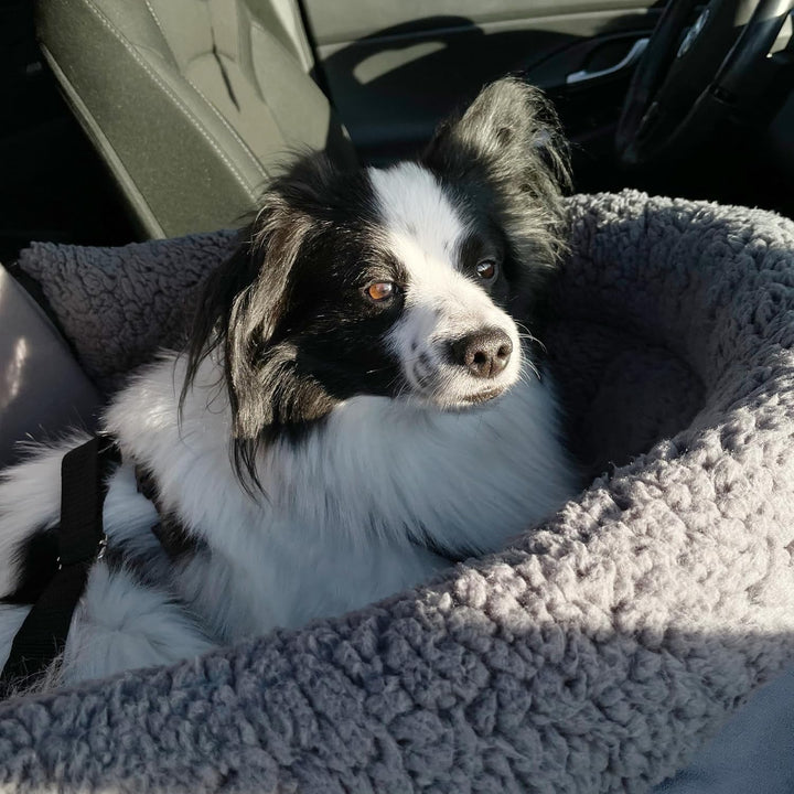 your GEAR Frontera Hundeautositz – Orthopädisches Hundebett & Hundekorb für Auto mit Sicherheitsgurt