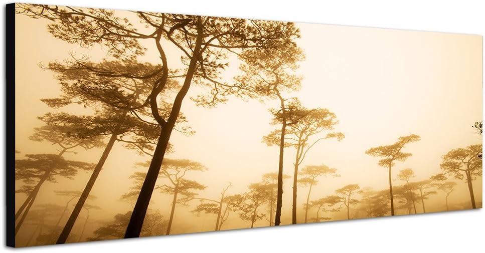 Paul Sinus Art Panoramabild auf Leinwand und Keilrahmen 150x50cm Thailand Nationalpark Bäume Dunst N
