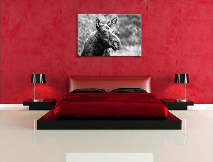 Elch im Wald Kunst B&W, Format: 100x70 auf Leinwand, XXL riesige Bilder fertig gerahmt mit Keilrahme