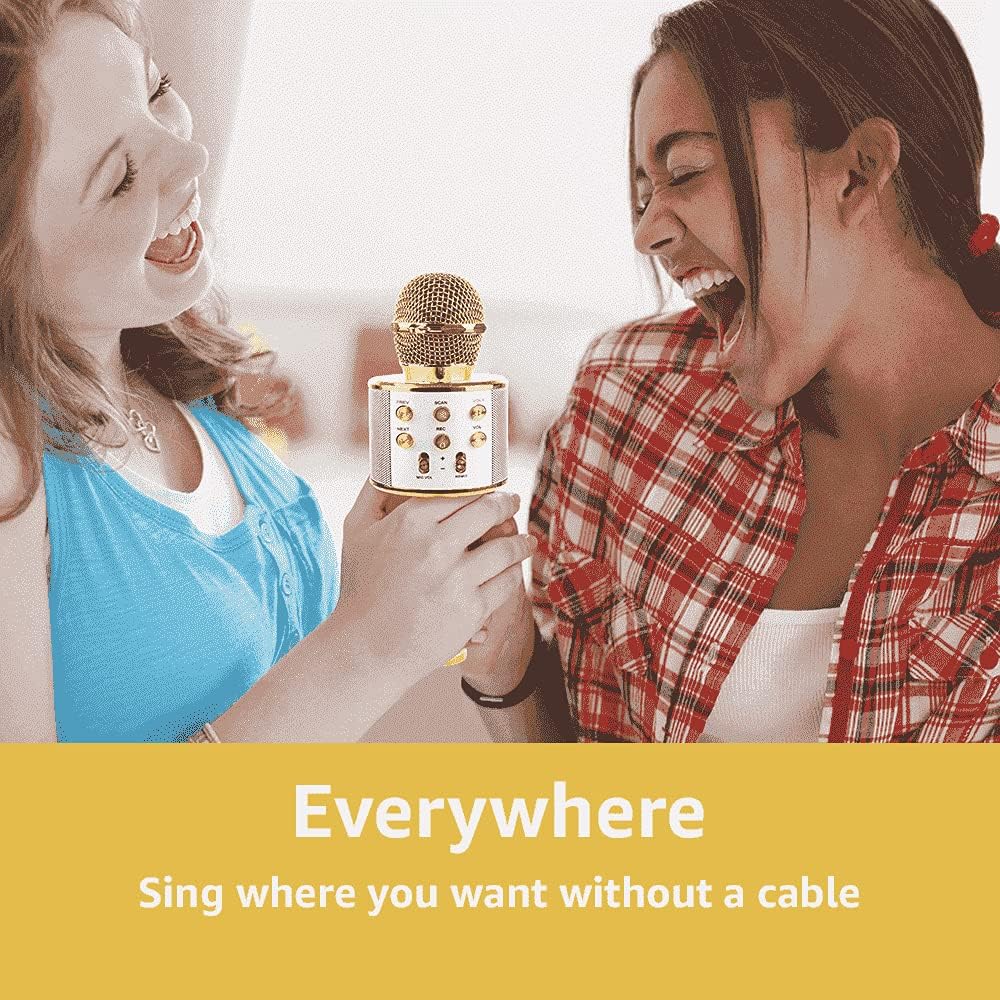 MAX KM01 Bluetooth Karaoke Mikrofon mit Lautsprecher, USB, Micro SD, MP3-Player, Mikro mit Echo, Sti